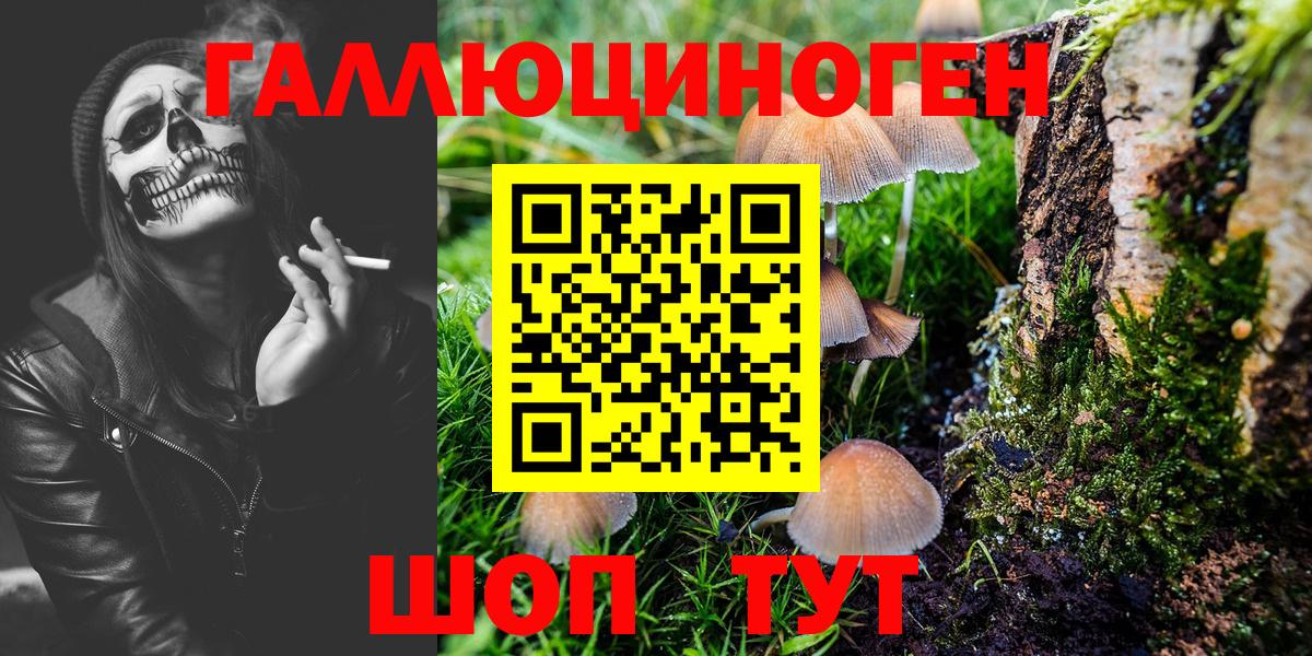 Псилоцибиновые грибы Psilocybine cubensis Ессентуки