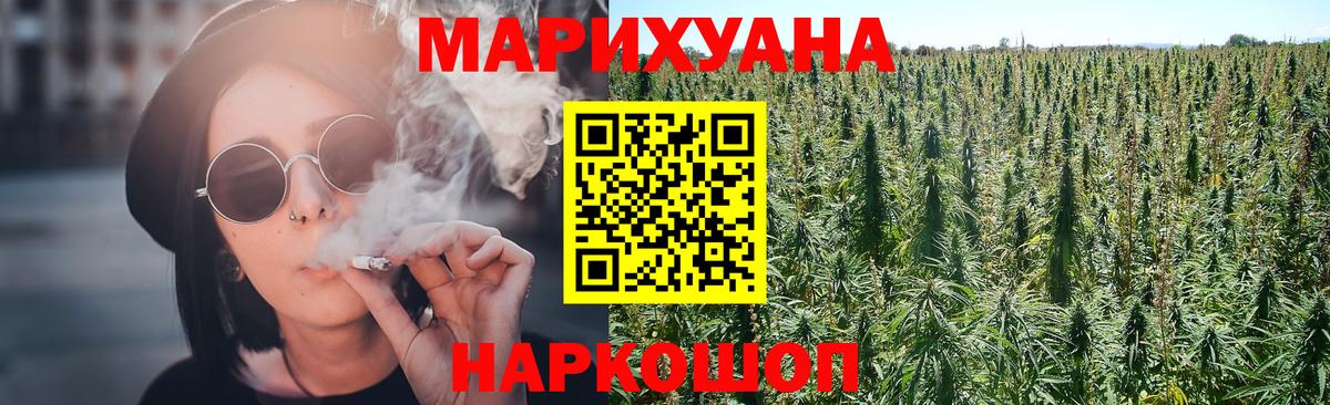 Конопля сатива  Марихуана марихуана  Конопля план  Ессентуки  Вход с VPN 